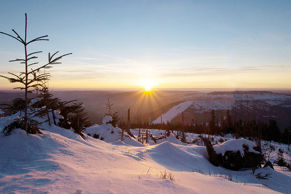 Sonnenaufgang Hornisgrinde im Winter