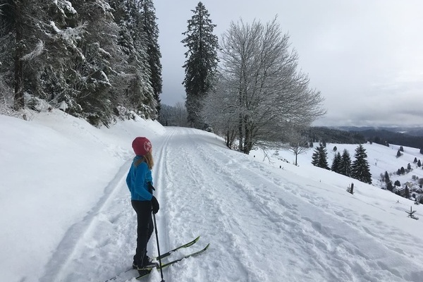 Loipe - Panoramaspur - rund um Todtnauberg