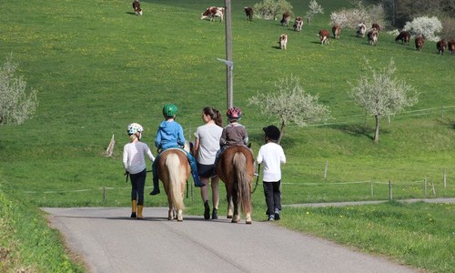 Steiertbartlehof (Oberried)