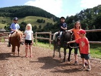 Reiten in Wieden (Bildnachweis: Tourismus GmbH zwischen Feldberg und Belchen)