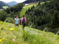 Schwarzwlder Wandersinfonie Wiesensteig (Bildnachweis:  KTG Ulrike Klumpp )