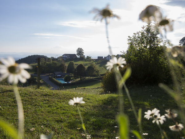  Bildnachweis: Mit freundlicher Genehmigung der Gemeinde Schopfheim (Ulrike Klumpp)