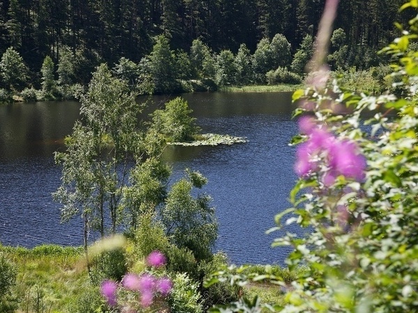 Sankenbachsee Bildnachweis: Ulrike Klumpp/Baiersbronn Touristik