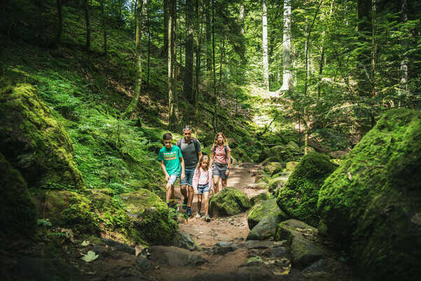 Familie im Monbachtal Bildnachweis: Locher Fotodesign & Manufaktur