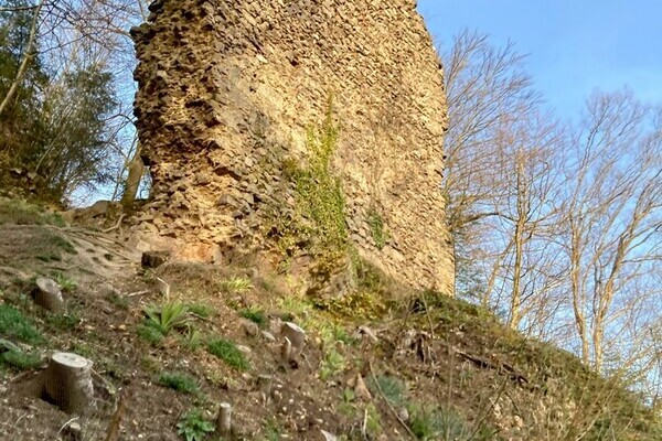 Burgruine Wiesneck Bildnachweis: Mit freundlicher Genehmigung von Sabine Paschold