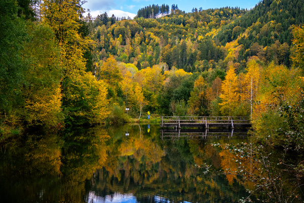 Kleiner See am U(h)rwaldpfad Rohrhardsberg Bildnachweis:  Hochschwarzwald Tourismus GmbH