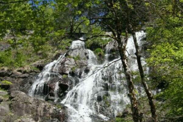 Todtnauer Wasserfall