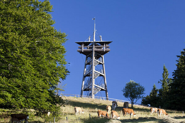 Eugen-Keidel Turm Schauinsland Bildnachweis: Freiburger Verkehrs AG/ Schauinslandbahn