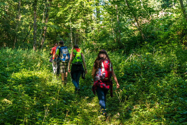 Wolfssteig Bildnachweis:  Tourist-Information Hchenschwand, Fotograf Klaus Hansen